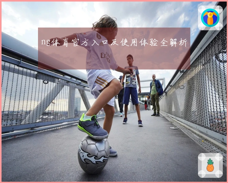 ng体育官方入口及使用体验全解析