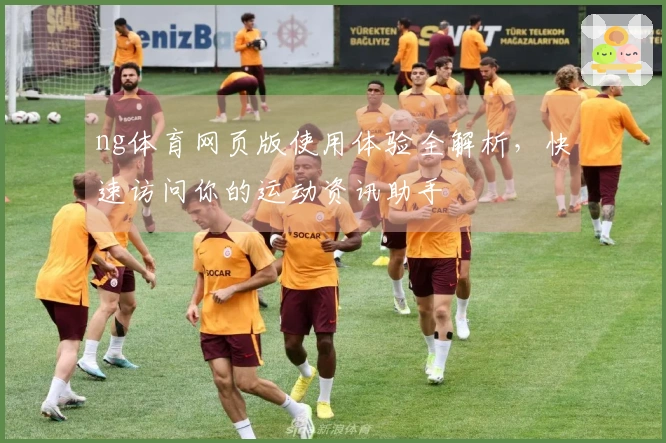 ng体育网页版使用体验全解析，快速访问你的运动资讯助手
