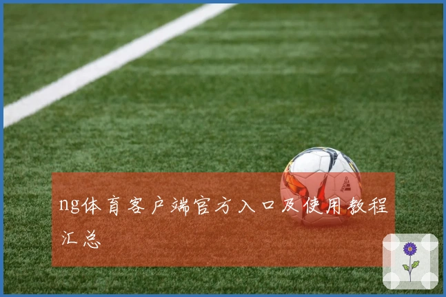 ng体育客户端官方入口及使用教程汇总