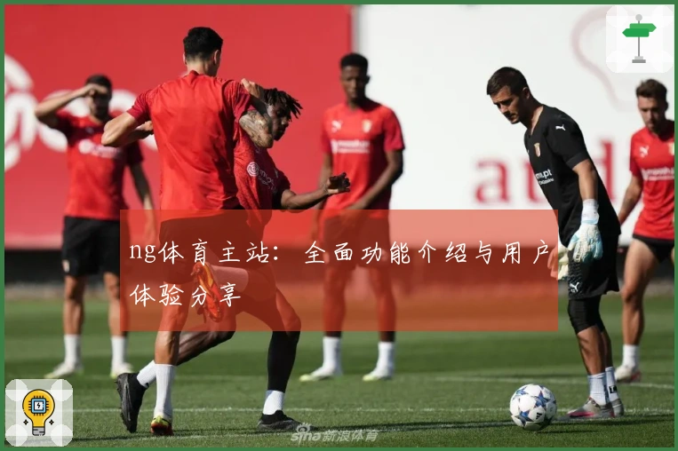 ng体育主站：全面功能介绍与用户体验分享