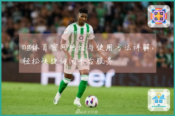 ng体育官网地址与使用方法详解，轻松快捷访问平台服务