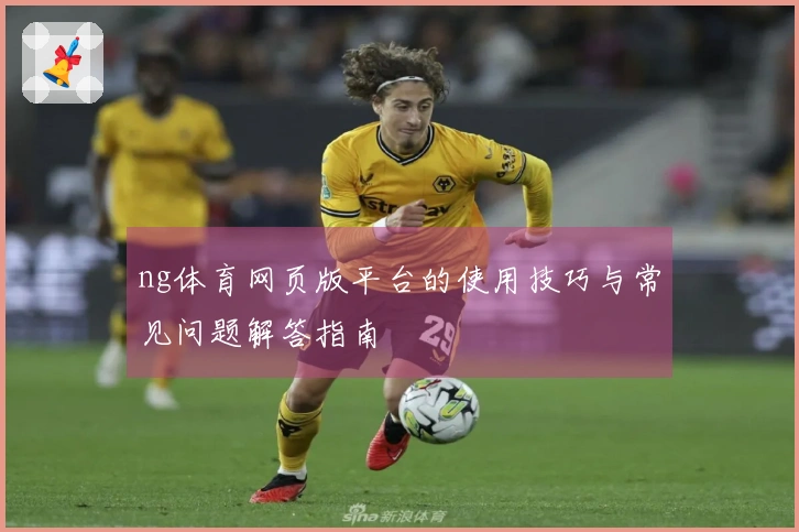 ng体育网页版平台的使用技巧与常见问题解答指南