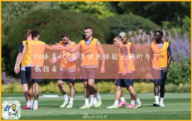 ng体育APP首页使用体验全解析与下载指南