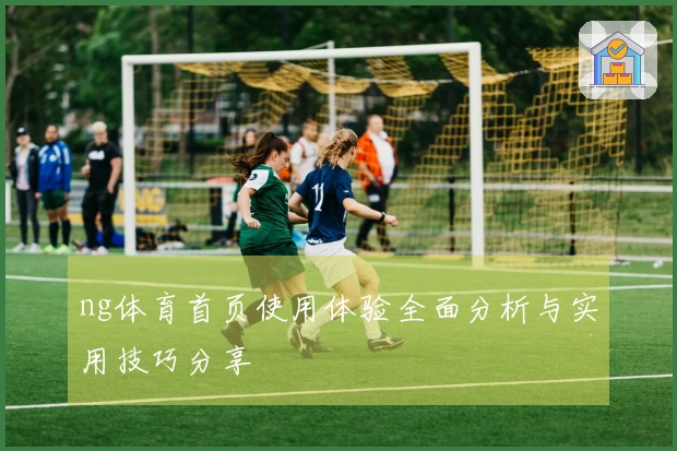 ng体育首页使用体验全面分析与实用技巧分享